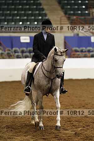 Proof Number 10r12_5009