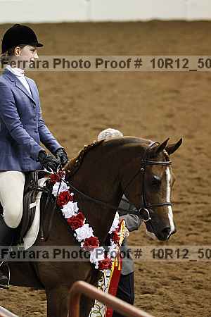 Proof Number 10r12_5031