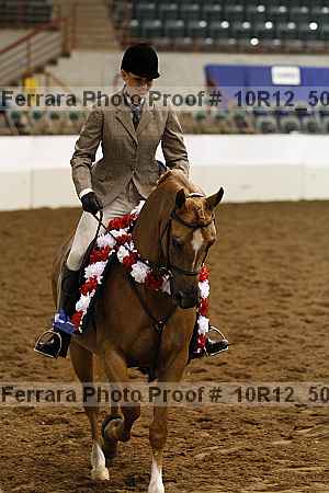 Proof Number 10r12_5054