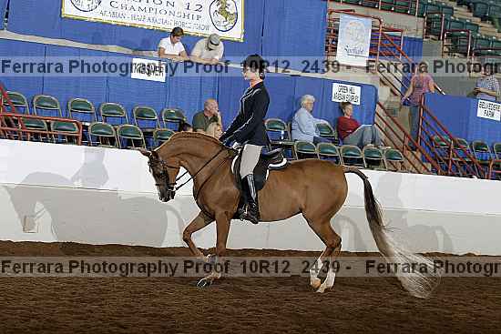 Proof Number 10r12_2439