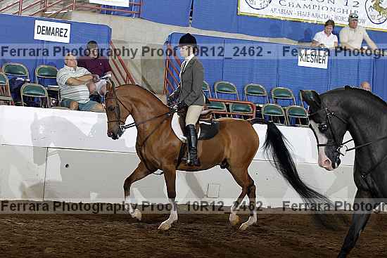 Proof Number 10r12_2462