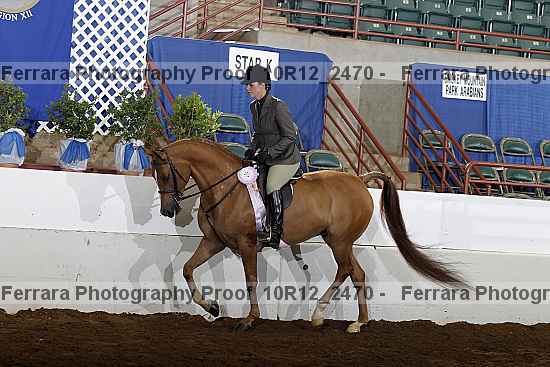 Proof Number 10r12_2470