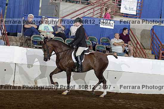 Proof Number 10r12_2497
