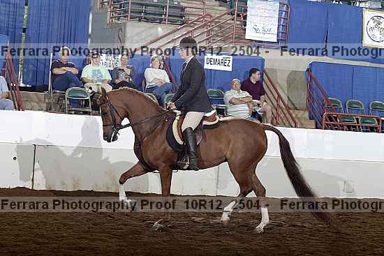 Proof Number 10r12_2504