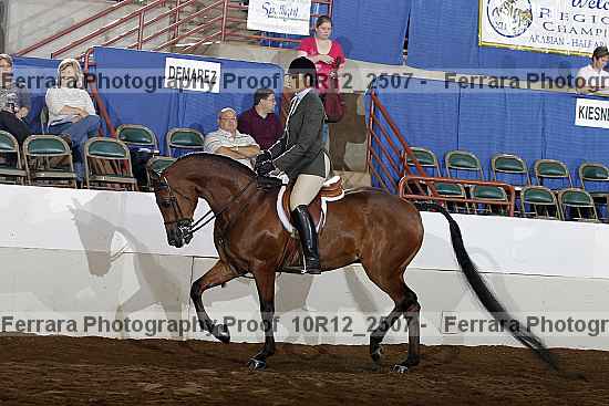 Proof Number 10r12_2507