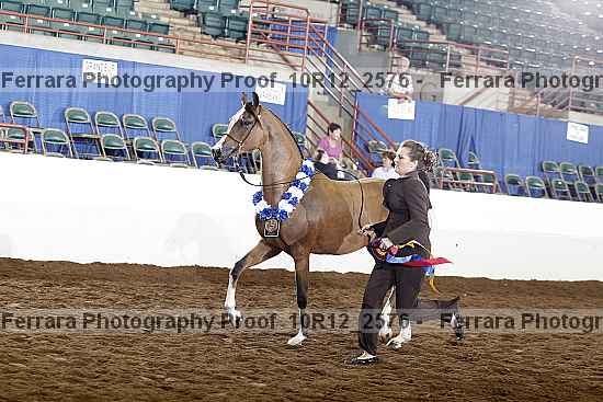 Proof Number 10r12_2576