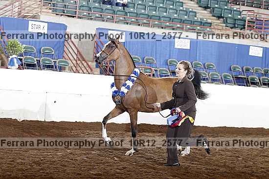 Proof Number 10r12_2577
