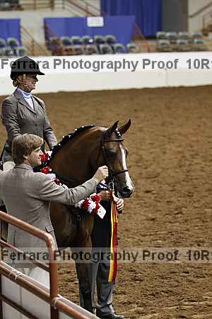 Proof Number 10r12_2594