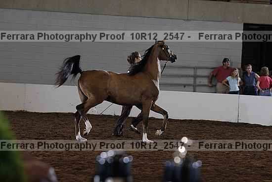 Proof Number 10r12_2547