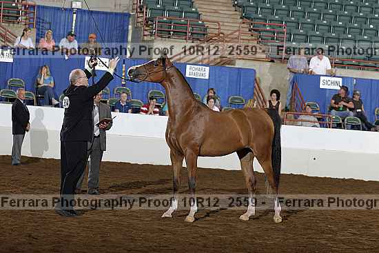 Proof Number 10r12_2559