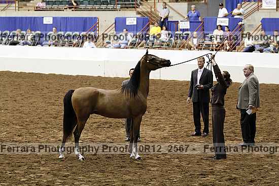 Proof Number 10r12_2567