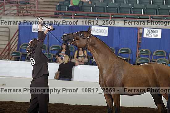 Proof Number 10r12_2569