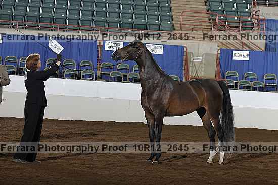 Proof Number 10r12_2645