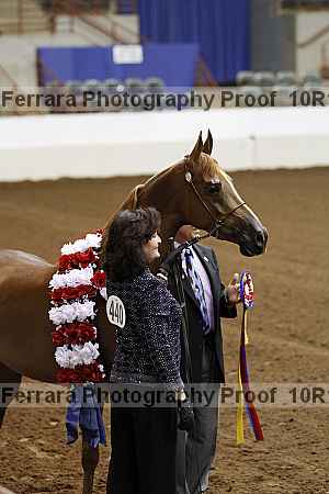 Proof Number 10r12_2661