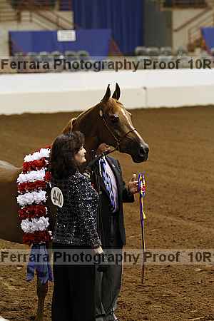 Proof Number 10r12_2663