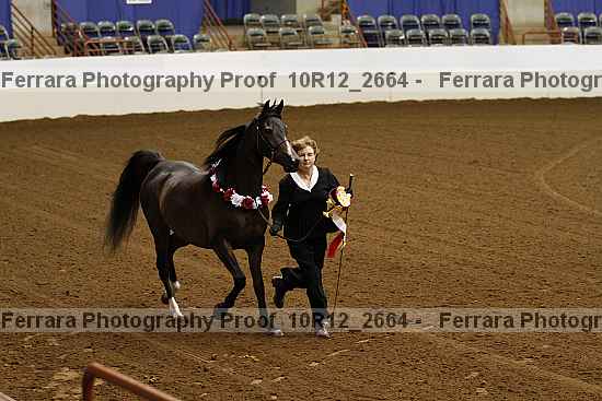 Proof Number 10r12_2664