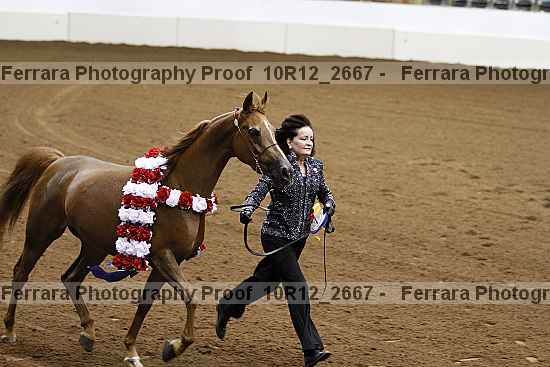Proof Number 10r12_2667