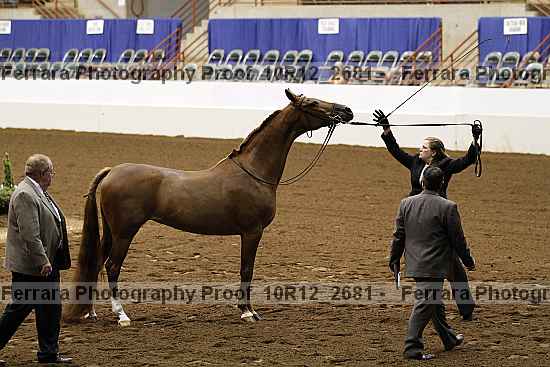Proof Number 10r12_2681