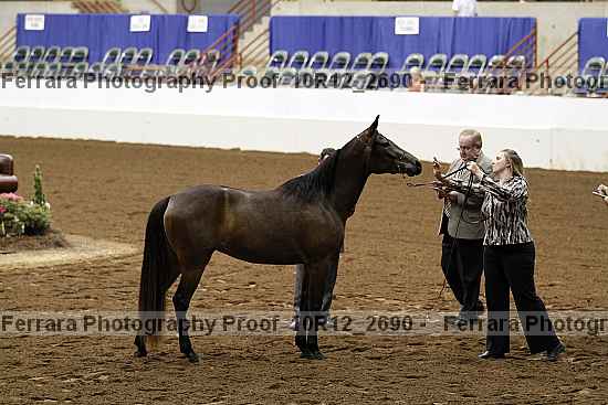 Proof Number 10r12_2690