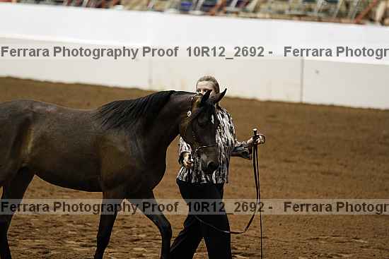 Proof Number 10r12_2692