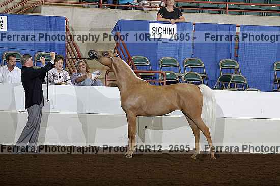 Proof Number 10r12_2695