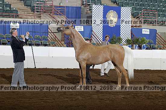 Proof Number 10r12_2698