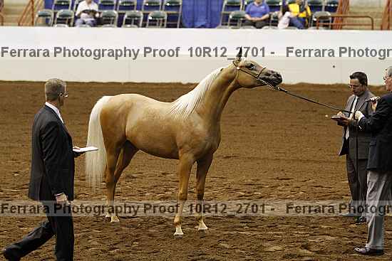 Proof Number 10r12_2701