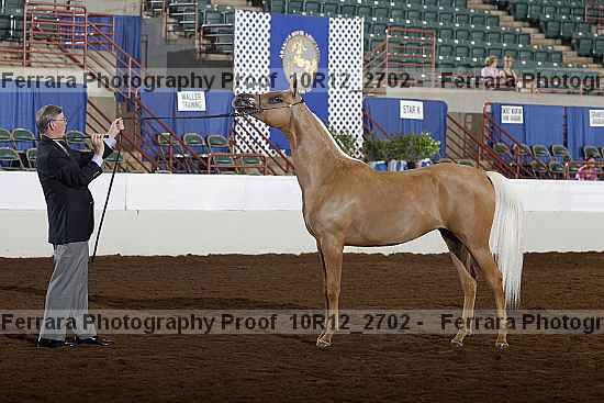 Proof Number 10r12_2702