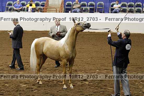 Proof Number 10r12_2703