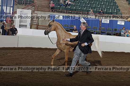 Proof Number 10r12_2705