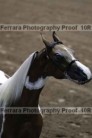 Proof Number 10r12_2706