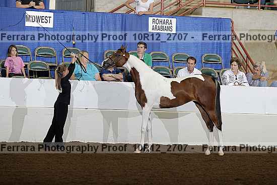 Proof Number 10r12_2707