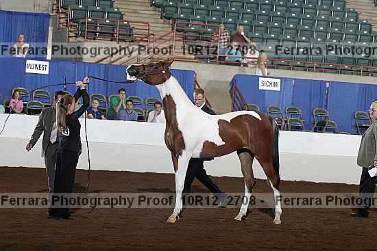 Proof Number 10r12_2708