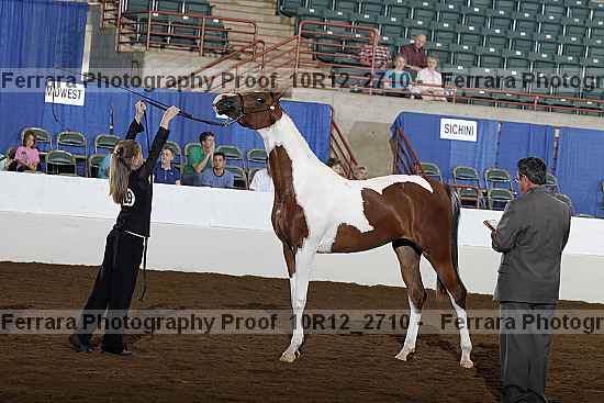Proof Number 10r12_2710