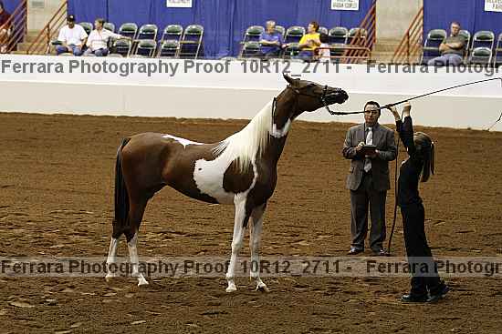 Proof Number 10r12_2711
