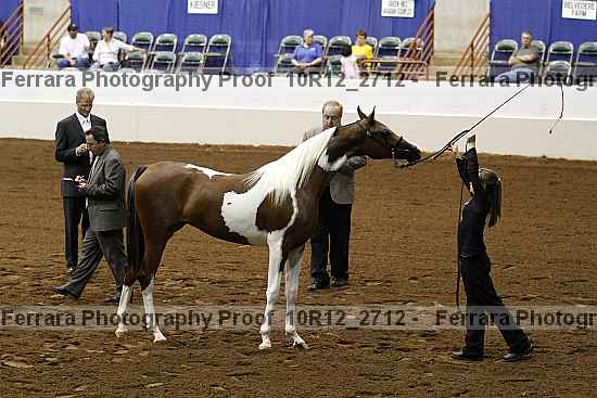 Proof Number 10r12_2712