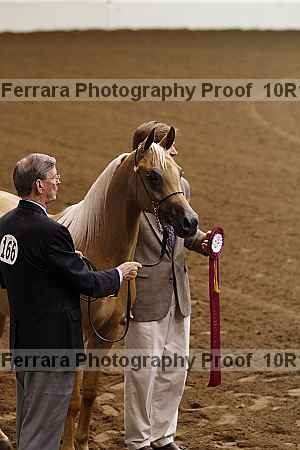Proof Number 10r12_2713