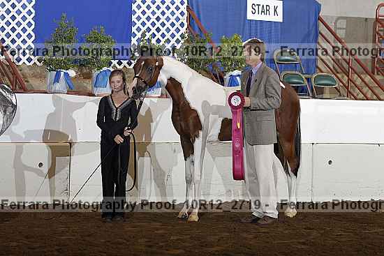 Proof Number 10r12_2719