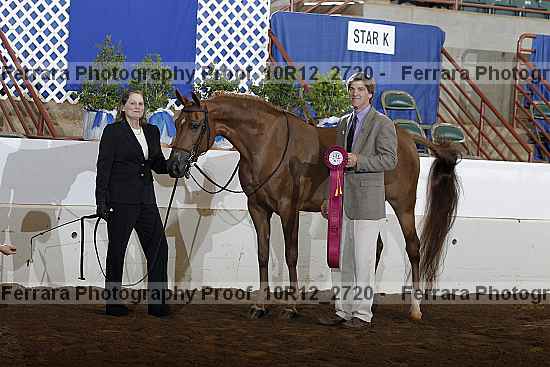 Proof Number 10r12_2720
