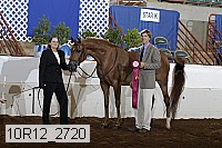 10r12_2720 thumbnail