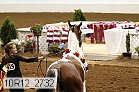 10r12_2732 thumbnail