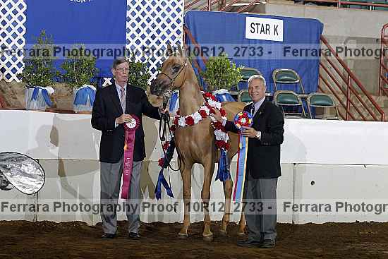 Proof Number 10r12_2733