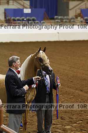 Proof Number 10r12_2734