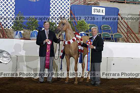 Proof Number 10r12_2736