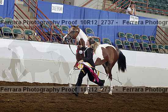 Proof Number 10r12_2737