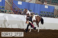 10r12_2737 thumbnail