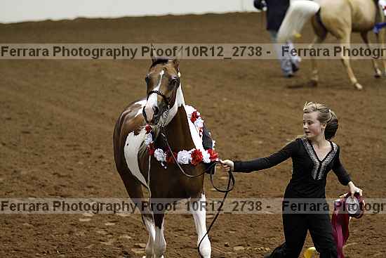 Proof Number 10r12_2738