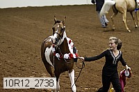 10r12_2738 thumbnail