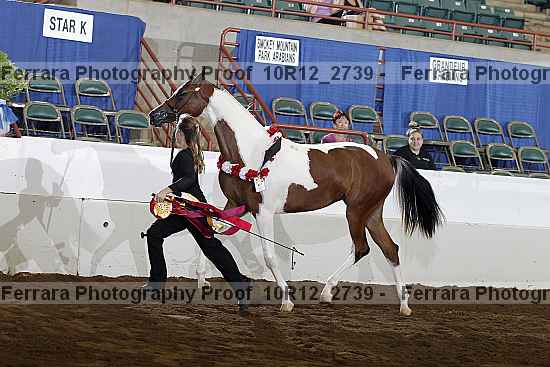 Proof Number 10r12_2739