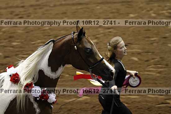 Proof Number 10r12_2741